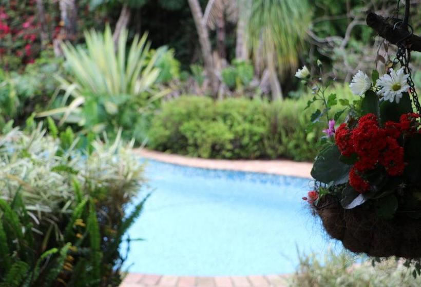 Bed and Breakfast Forword S River Lodge 13