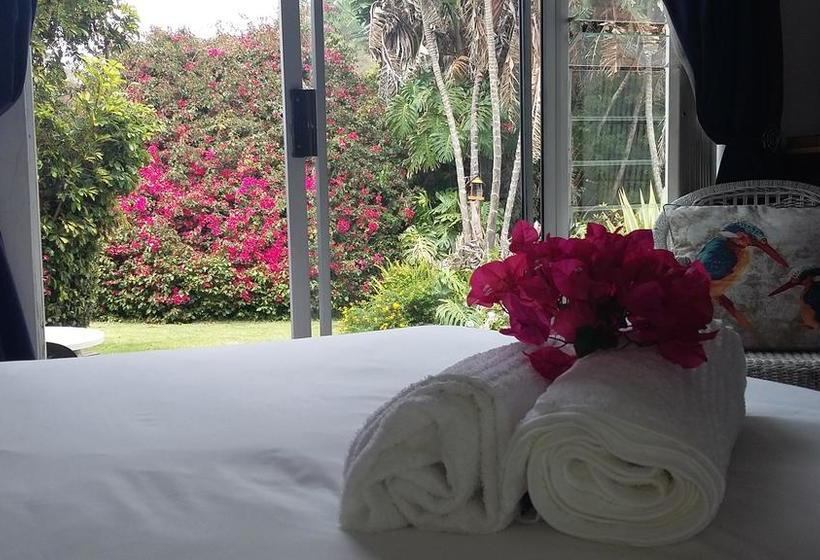 Bed and Breakfast Forword S River Lodge 17