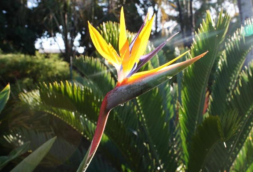 Bed and Breakfast Aan D Oewer 1