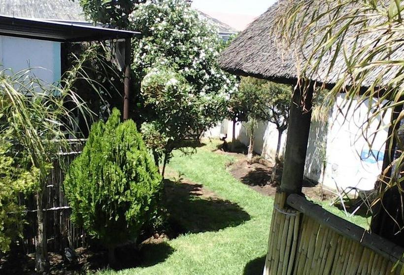 Hostel Authentic African Tours And Back Packers 15