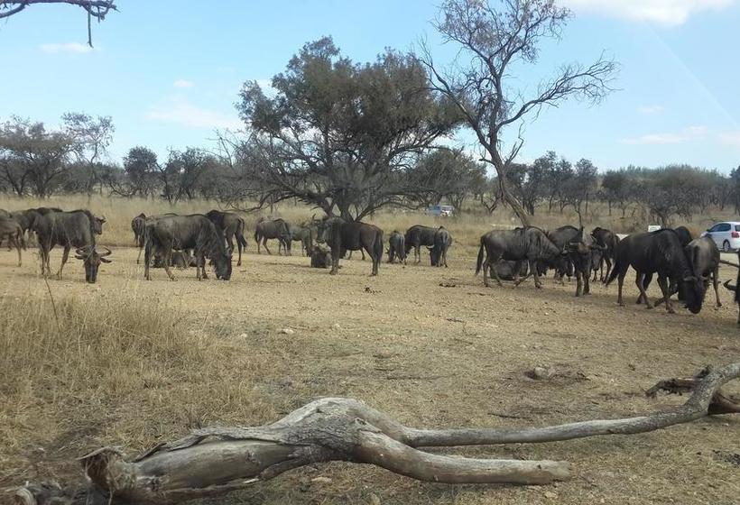 Bed and Breakfast Cockpit Guest House