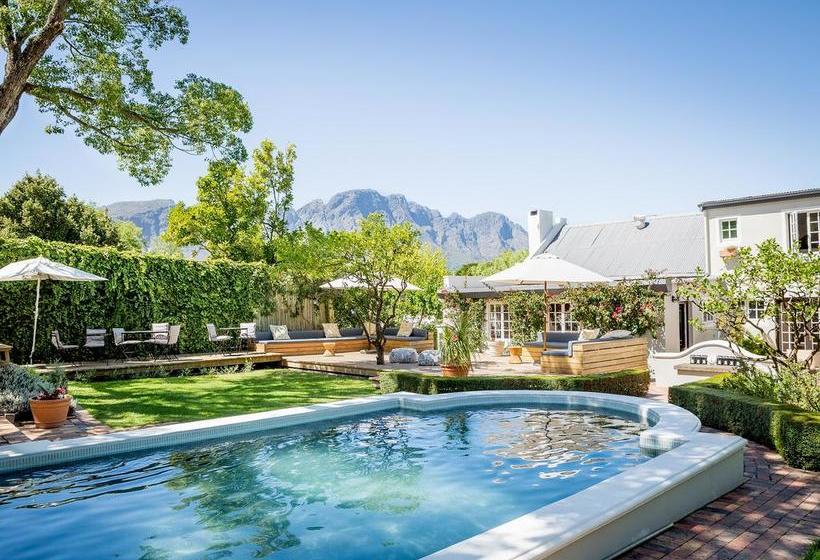 Hotel De Alchemist Guest House 11