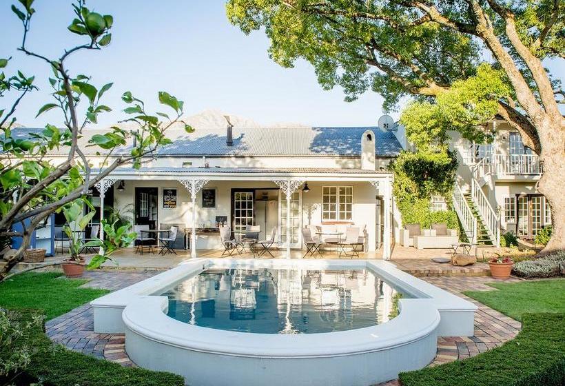 Hotel De Alchemist Guest House 4