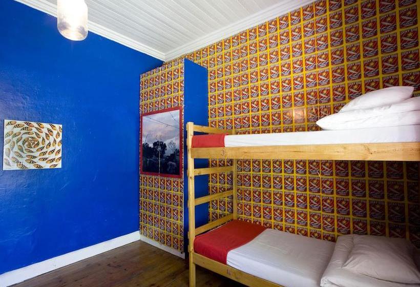 Hostel 33 South Boutique 11