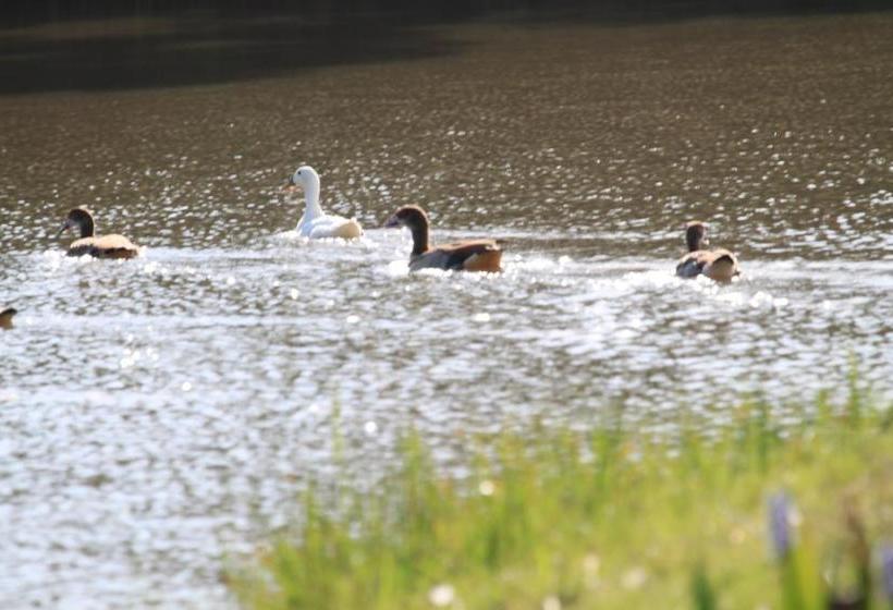 Bed and Breakfast L Heritage Retreat 5