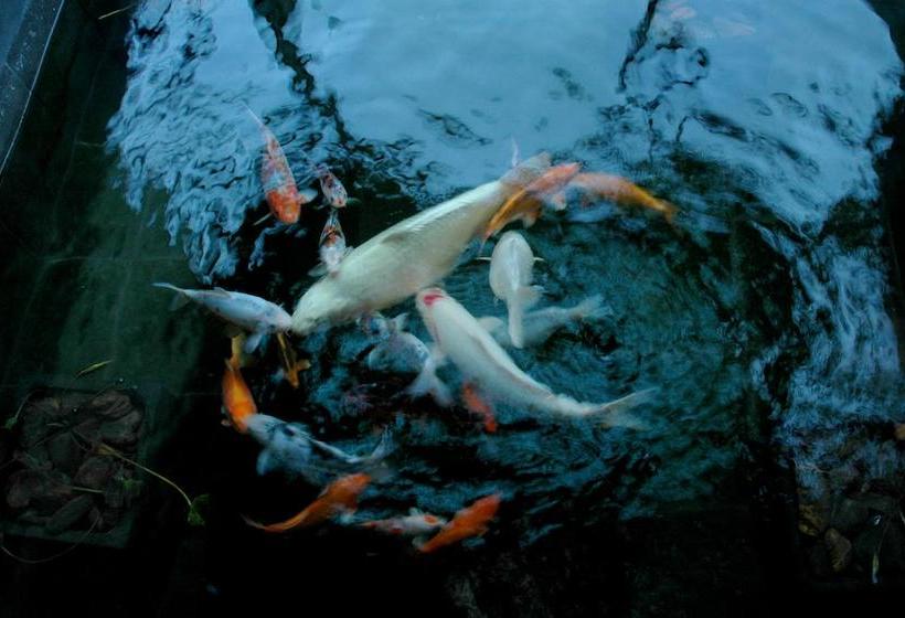 Hotel 36 On Bonza Boutique Guest House 20