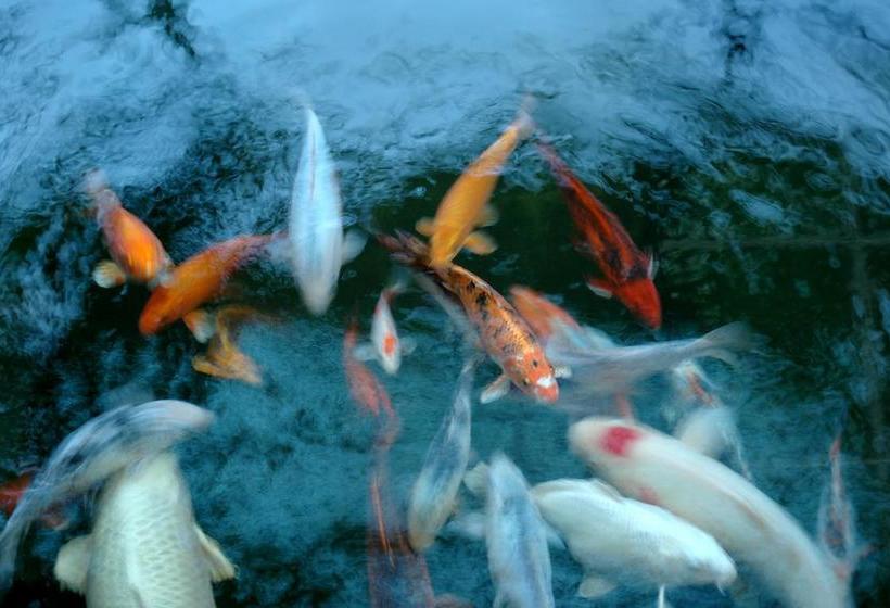 Hotel 36 On Bonza Boutique Guest House 6