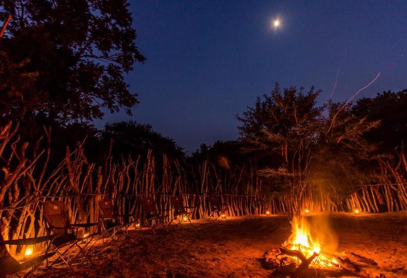 Resort Humala River Lodge 18