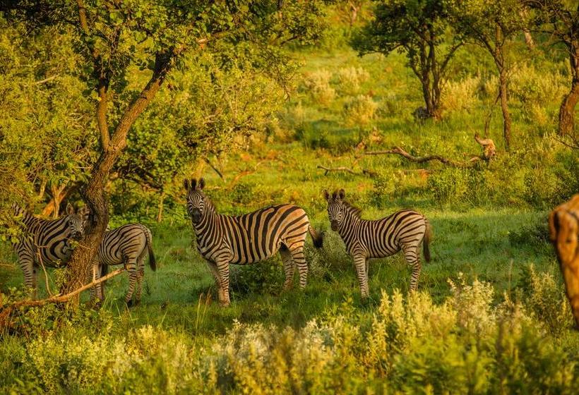 Resort Humala River Lodge 19