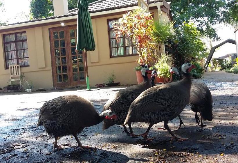 Bed and Breakfast Mphushini Falls Resort 1