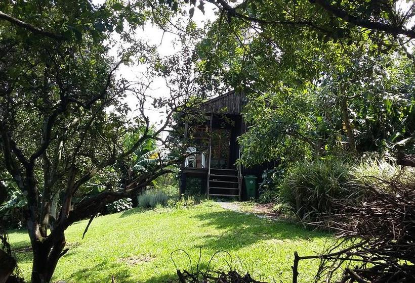 Bed and Breakfast Mphushini Falls Resort 11