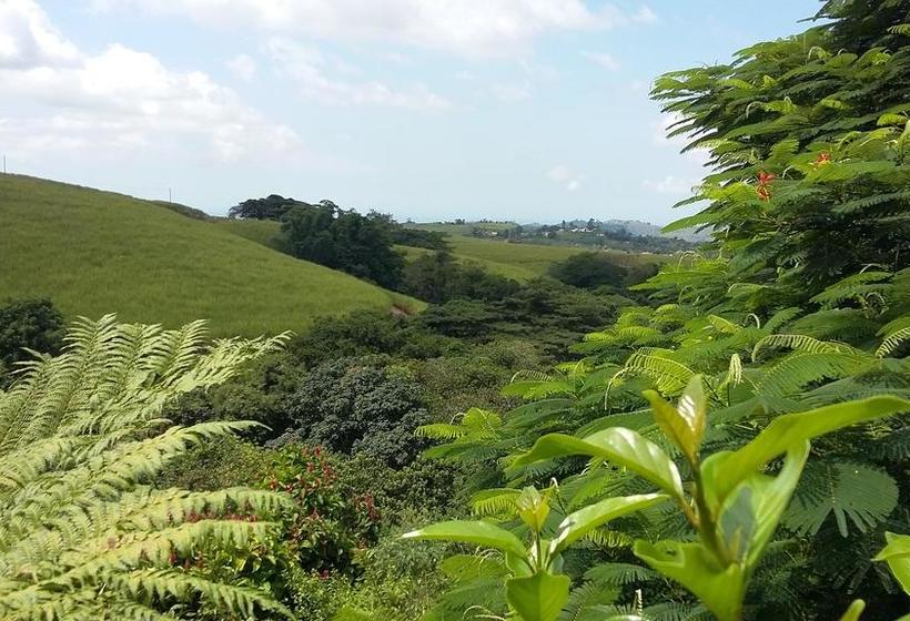 Bed and Breakfast Mphushini Falls Resort 19