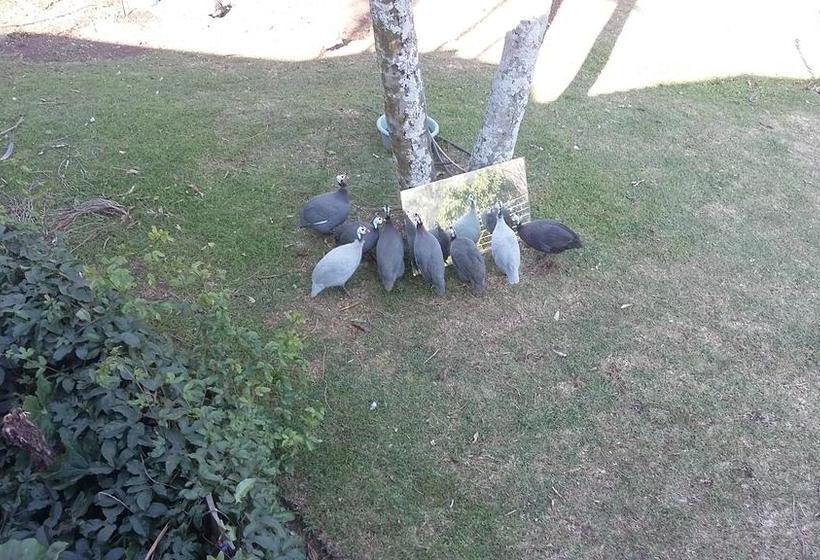 Bed and Breakfast Mphushini Falls Resort 5