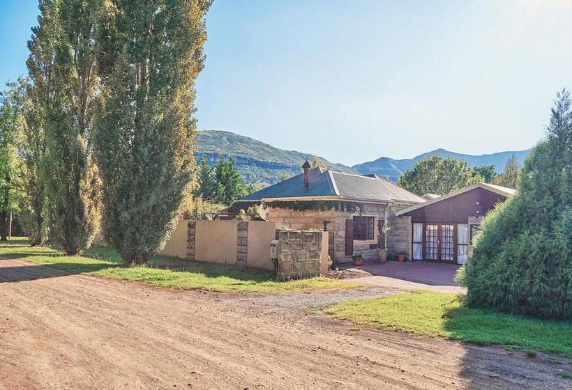 Bed and Breakfast Sir Henry S Guest House 1