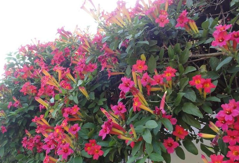 Klein Morgenster B&b 13