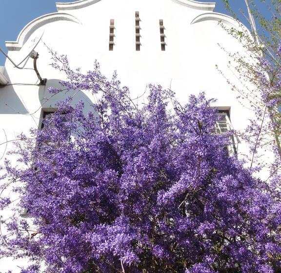 Klein Morgenster B&b 15