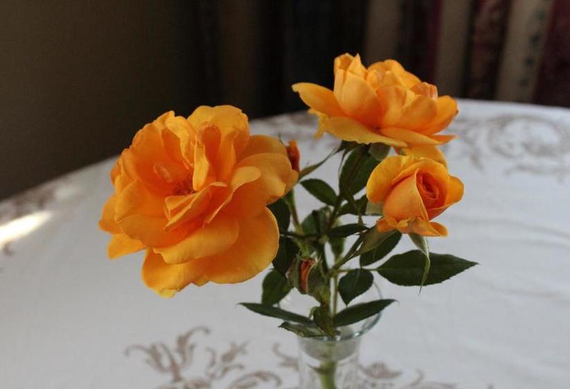 Klein Morgenster B&b 7