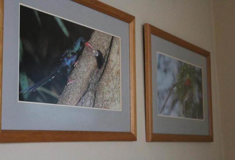 Klein Morgenster B&b 9