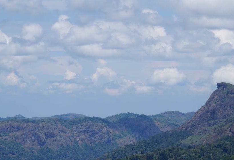 Bed and Breakfast Grace Inn Munnar 17