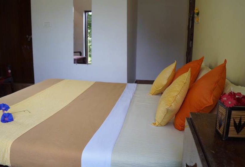 Bed and Breakfast Grace Inn Munnar 2