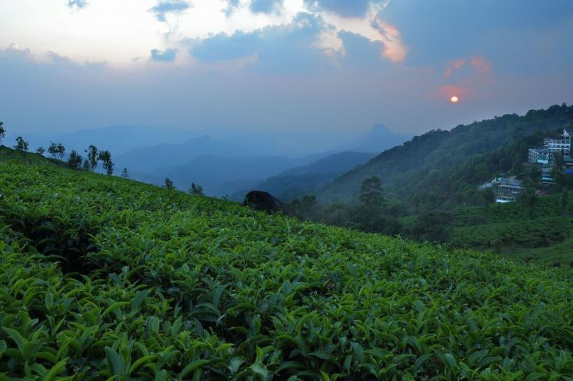 Parakkat Nature Hotels & Resorts 17