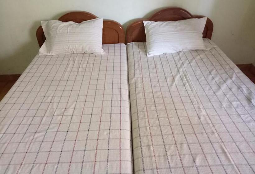 Hotel New Classic Lodge 6