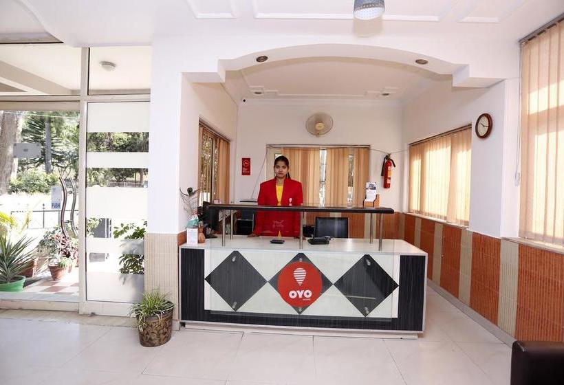 Hotel The Central Palm 4