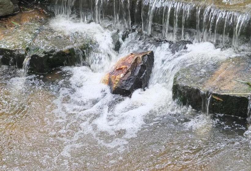 Bed and Breakfast Wayanad Royal Stream