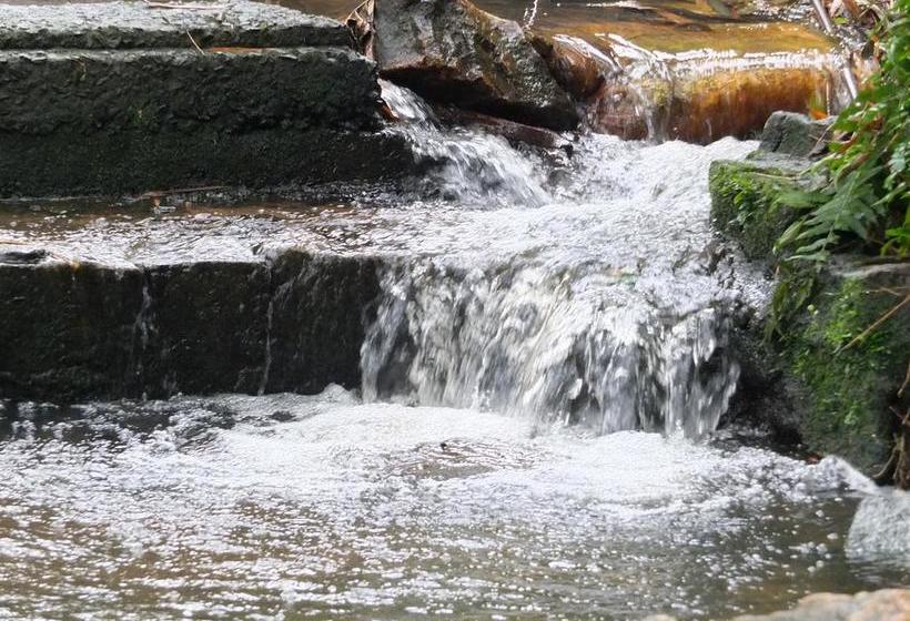 Bed and Breakfast Wayanad Royal Stream 20