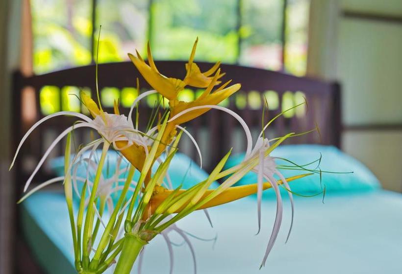 Khao Sok Riverfront Resort 19