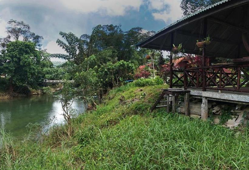 Khao Sok Riverfront Resort 4