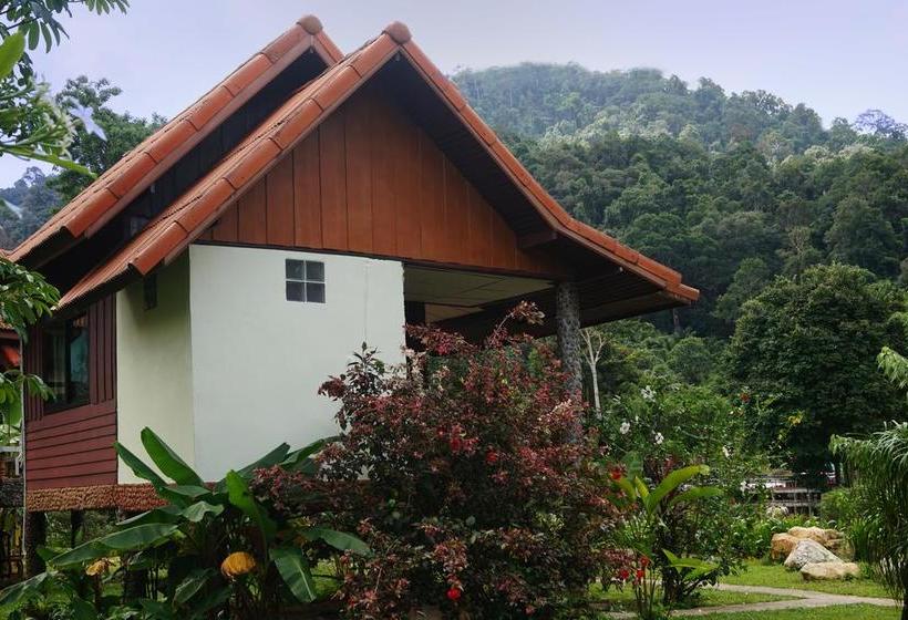 Khao Sok Riverfront Resort 9