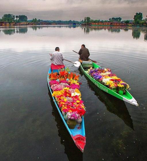Hotel New Pride Of Kashmir Houseboat 13