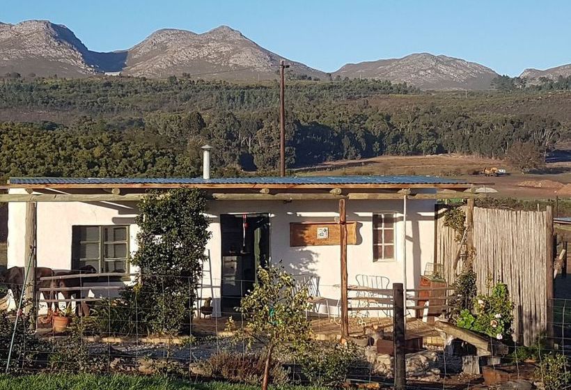 Lekkerdroom Farm Western Cape