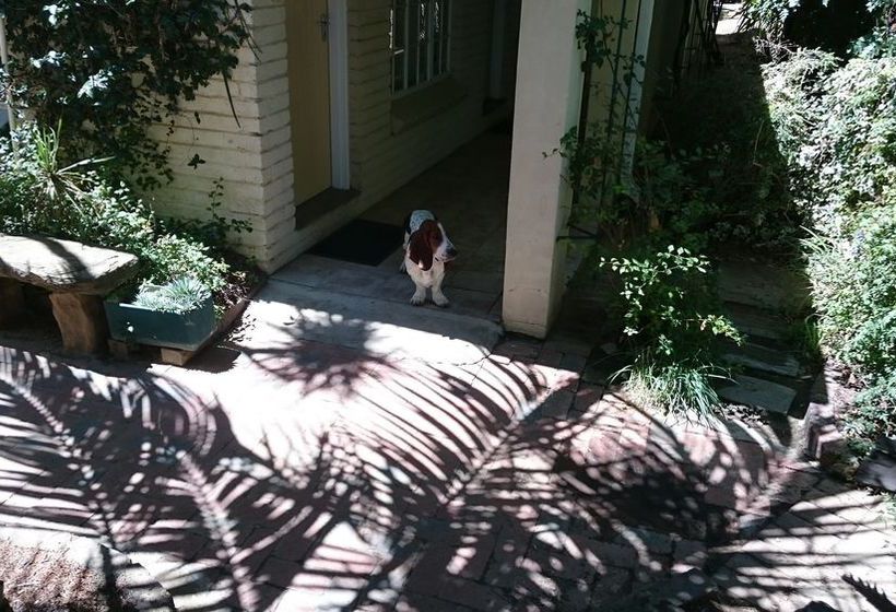 Pension Ladybrand Guest House 5