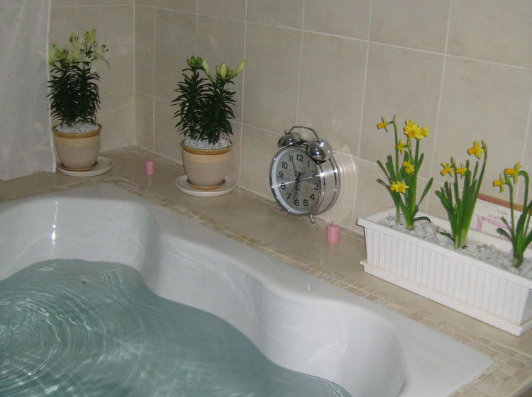 Pension Mendelssohn Manor Guest House 6