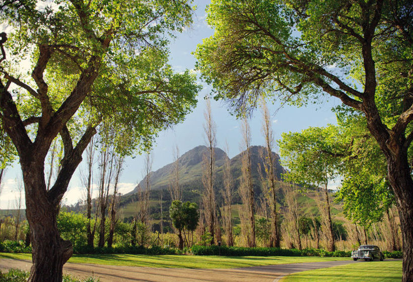 Pensión Molenvliet Oosthuizen Family Vineyards