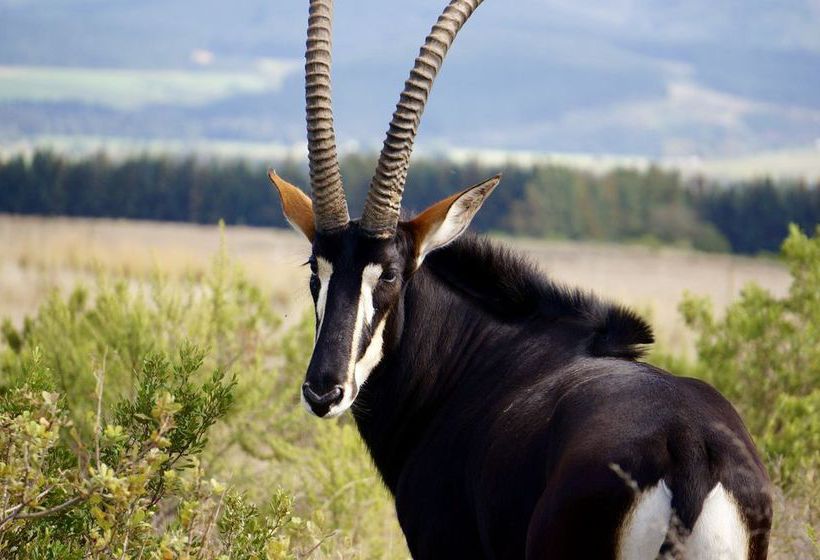 Kwetu Guest Farm Swellendam Western Cape