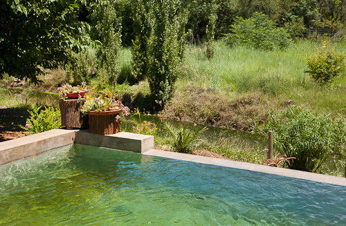 Bed and Breakfast Cunningham Cottage Guest House 13