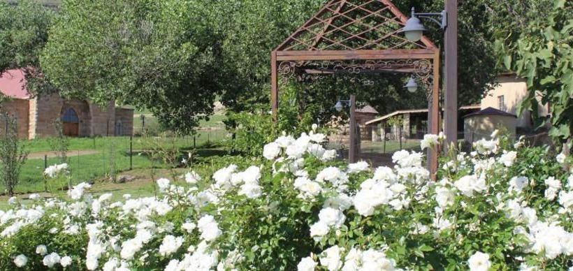 Hotel Oranje Gasteplaas Maloti Route 8