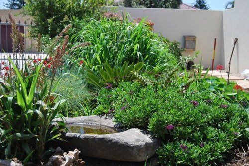 Aloe Manna Self-catering Accommodation 13