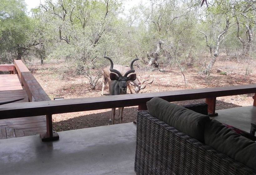 Marloth Kruger Bush Villa 10