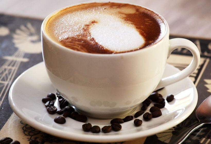 Pension Celtis Country Lodge And Restaurant 8