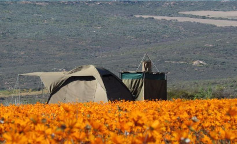 Hotel Chiefs - Namaqua Flower Camps Kamieskroon Northern Cape