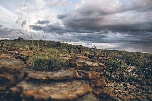 Aan De Voor Safaris 10