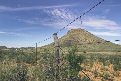 Aan De Voor Safaris 11