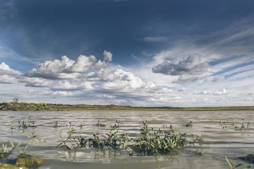 Aan De Voor Safaris 12