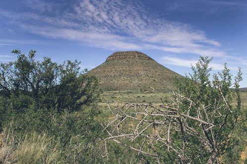 Aan De Voor Safaris 13