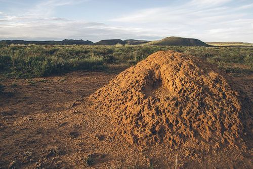 Aan De Voor Safaris 16