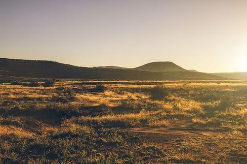 Aan De Voor Safaris 17